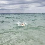 Alizee Talk / alizeetalk_68164980a1504.jpeg
