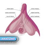 Educational Exhibitionism / Professionals / Tutorials / theprofessionalsband_681a1ae67cd54.jpeg