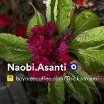 Naobi.Asanti_6818e81c9f12e.jpeg