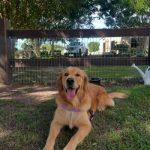 Pearl Farley / pearlfarleyy_68158e81c0f19.jpeg
