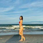 Tray.fitfever | Tray Soe / military / tray.fitfever_6812d4c917cbf.jpeg