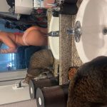 Ashleyluv101_6858bb0815adc.jpeg