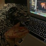 dullrzrs / filthybrides / sage / vilebrides_68401e13554e9.jpeg