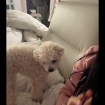 Eunzel ASMR / eunbar / eunzel Nude OnlyFans_685fb1badfdd4.jpeg