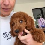 Gemma Atkinson_685cfb1f00430.jpeg