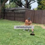 jamesluckysz Nude OnlyFans_684c28e06c01f.jpeg