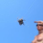 Johymartin Nude OnlyFans_6862f6b1b174d.jpeg