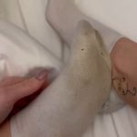 lovely.socks_ / lovelysox_685c88b2d627c.jpeg