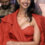 meenakshichaudhary_685ab35b38a58.jpeg