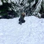 scarlettsagex / scarlettsagexofficial Nude OnlyFans_684c4ae612d55.jpeg