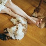 Sofya Volodchinskaya_6861eb95cb741.jpeg